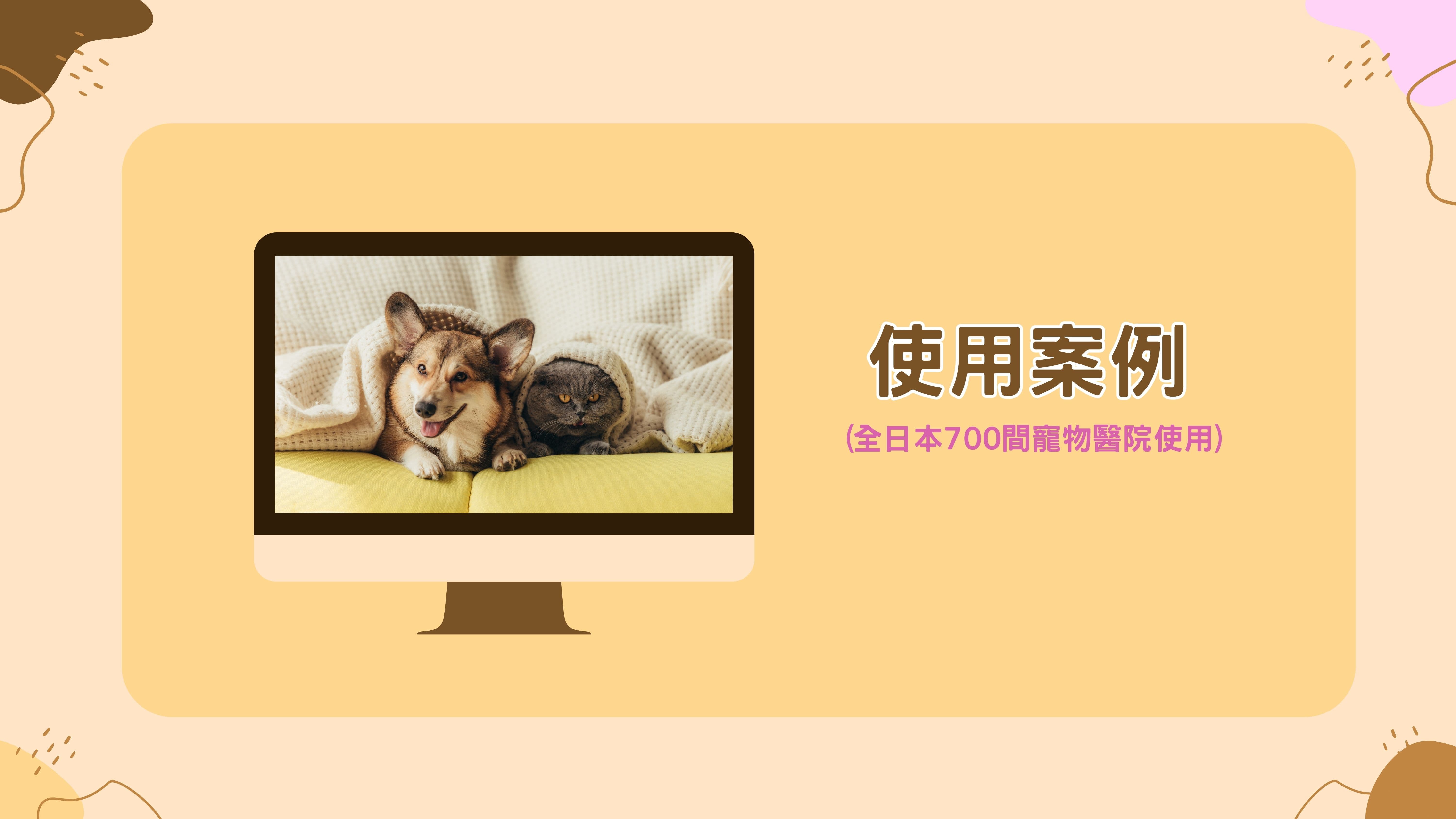 使用案例