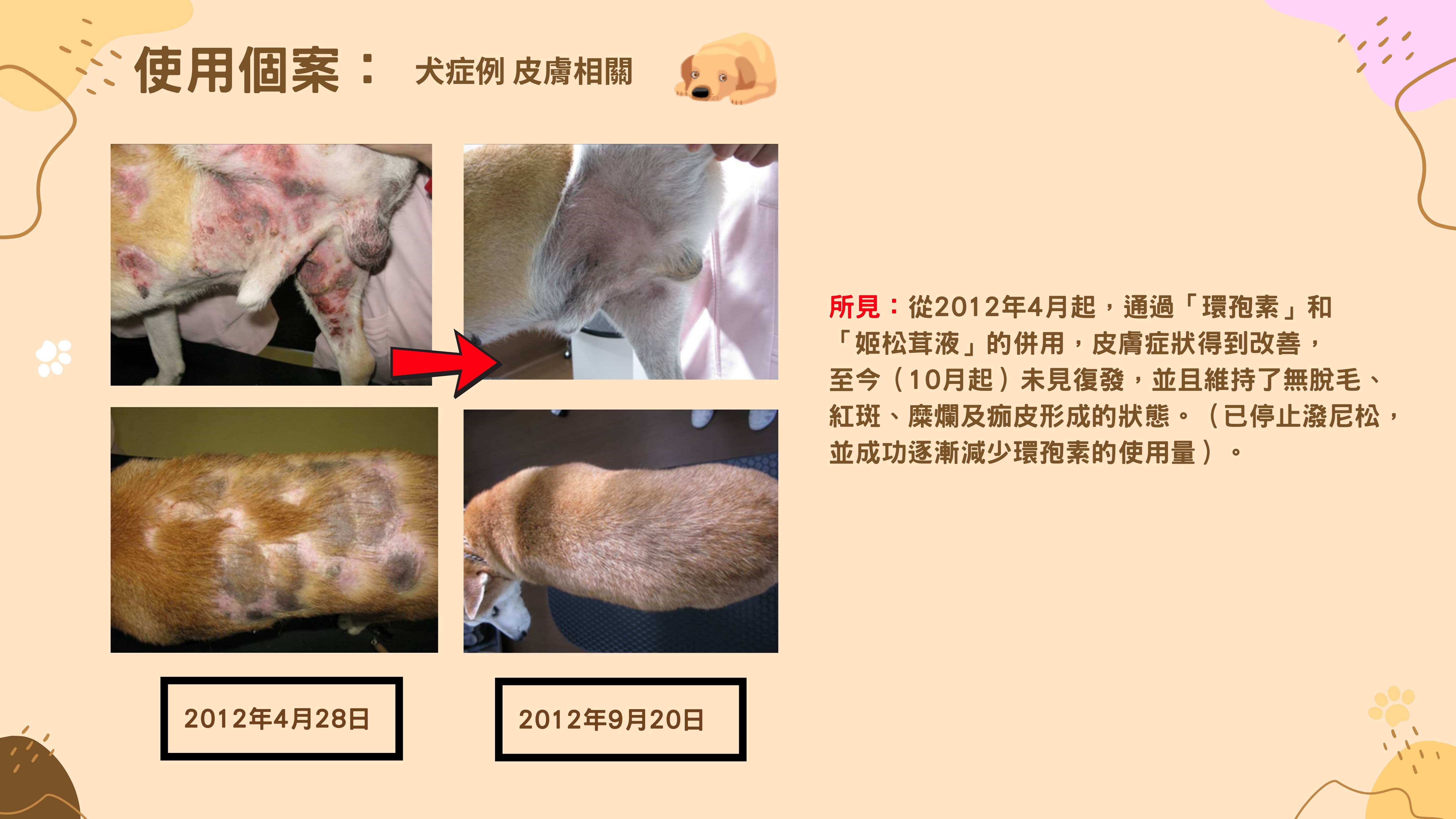 使用案例 / 犬症狀 / 皮膚相關