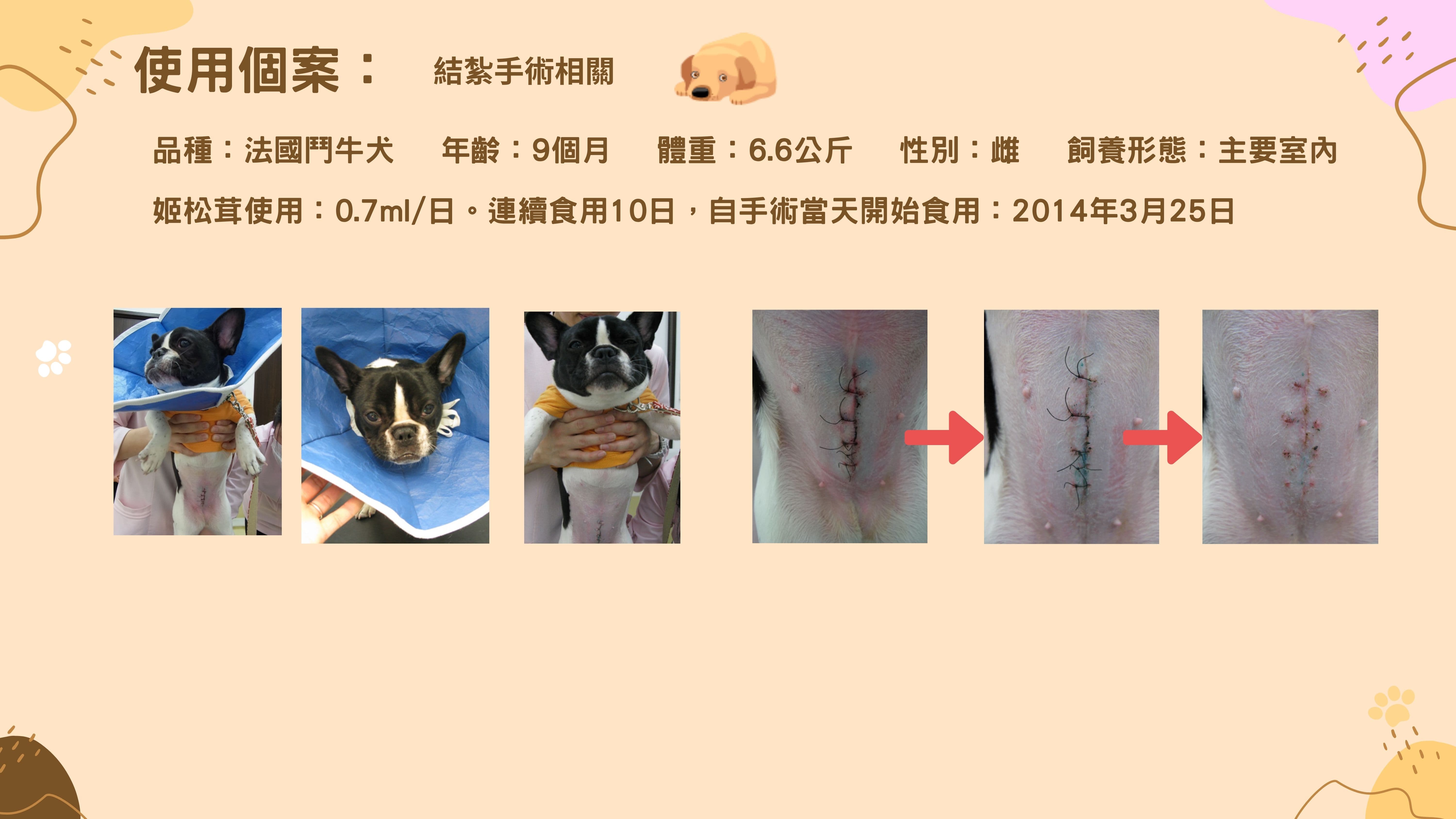 使用案例 / 結紮手術相關