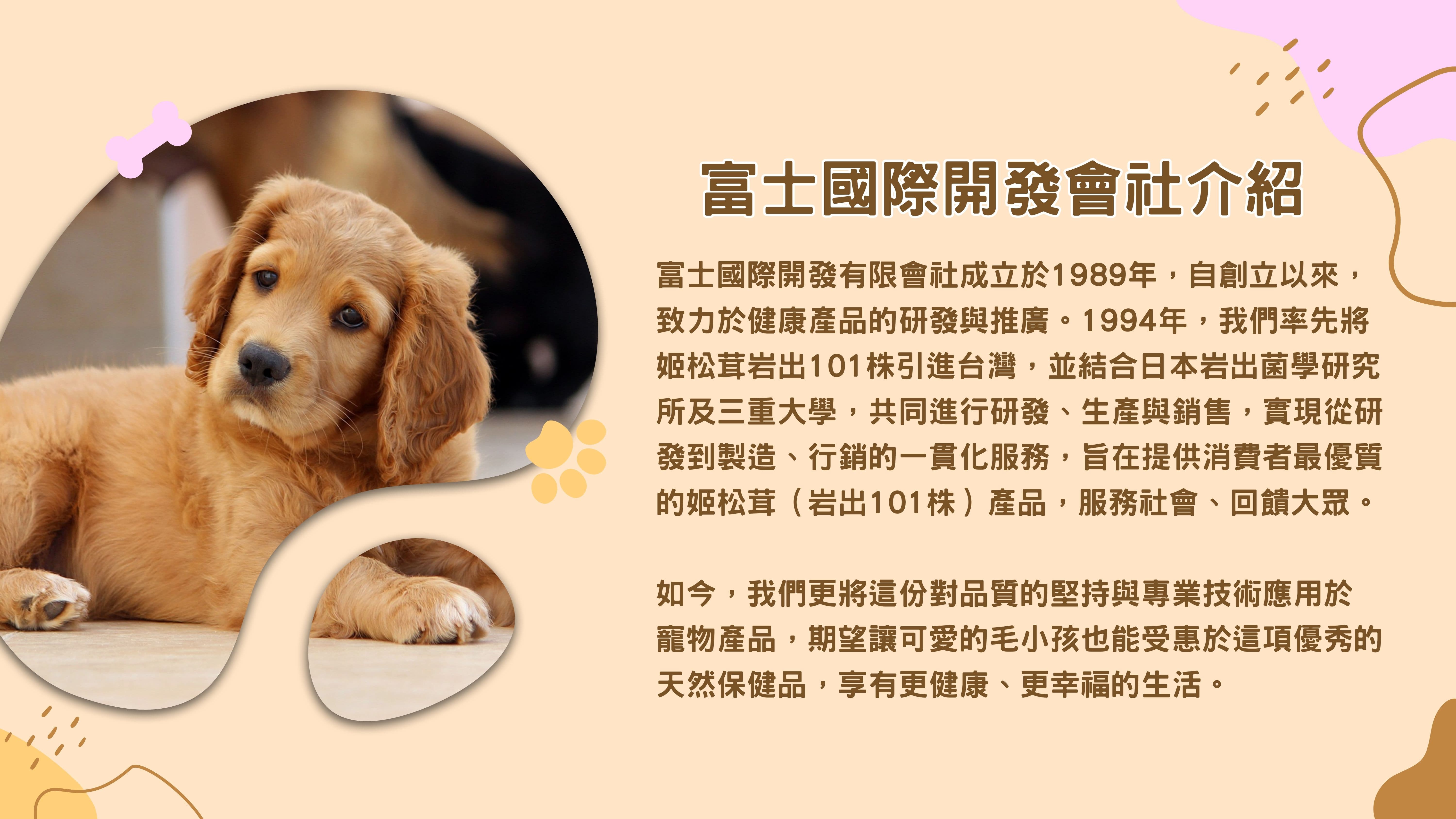富士國際開發會社介紹