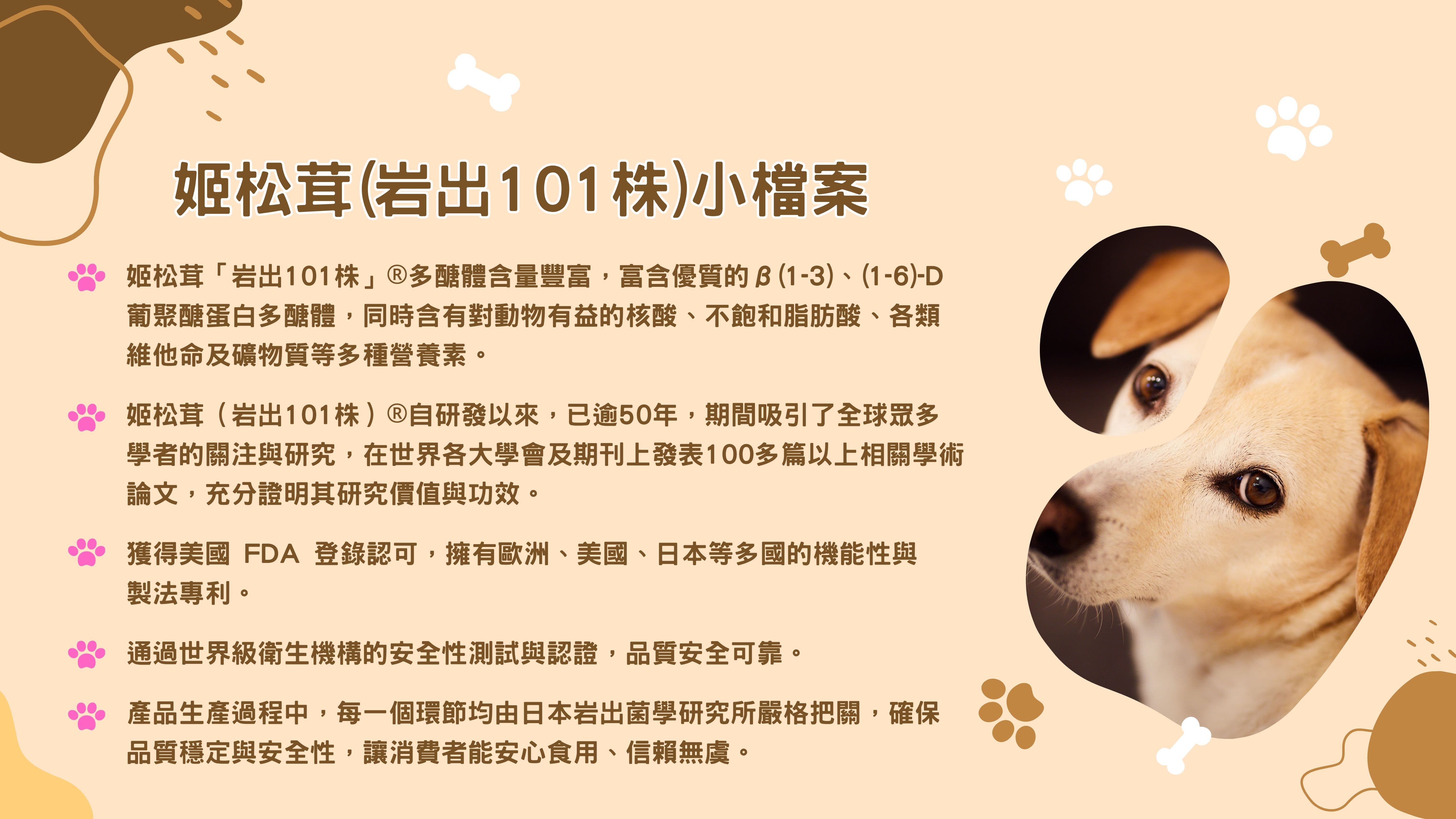 姬松茸(岩出101株)小檔案